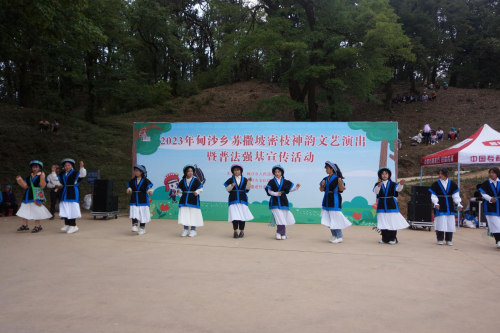 图片4