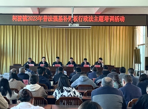 图片4