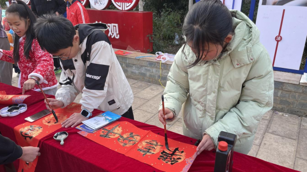 图片4