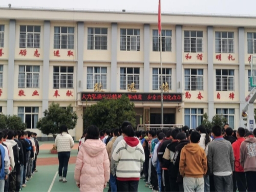 图片8