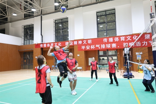 图片 (11)