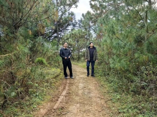 640 - 2025-12-04T113401.207